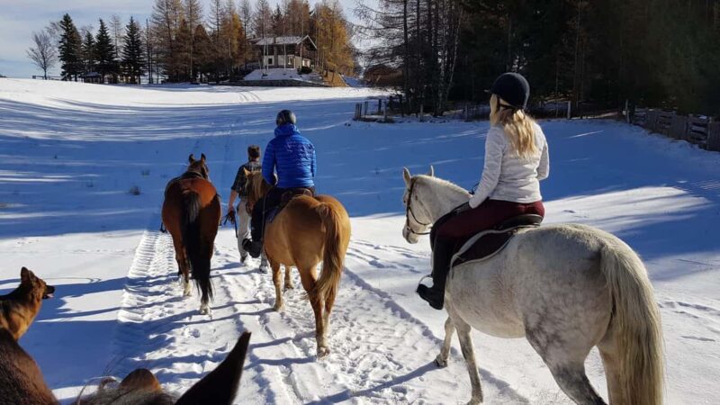 Saint-Pierre - Vetan: Guided horseback ride through the Alpine mountains - Who Can Join and Physical Requirements