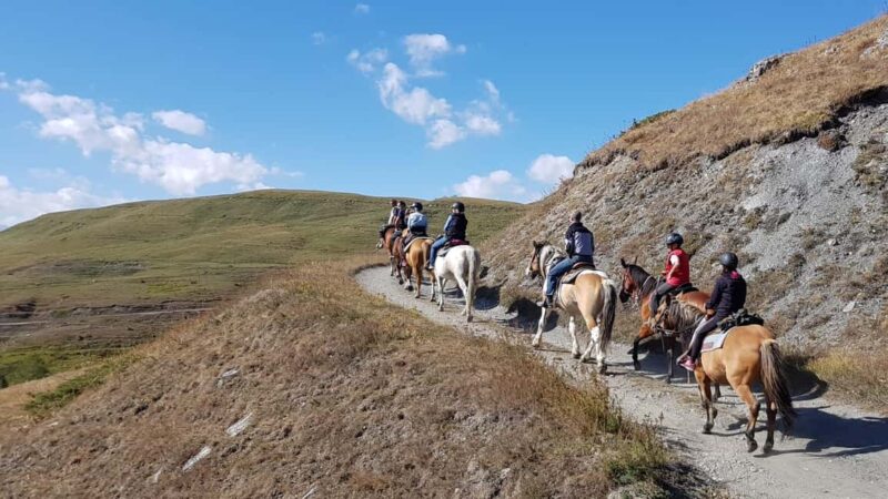 Saint-Pierre - Vetan: Guided horseback ride through the Alpine mountains - Languages and Tour Guidance