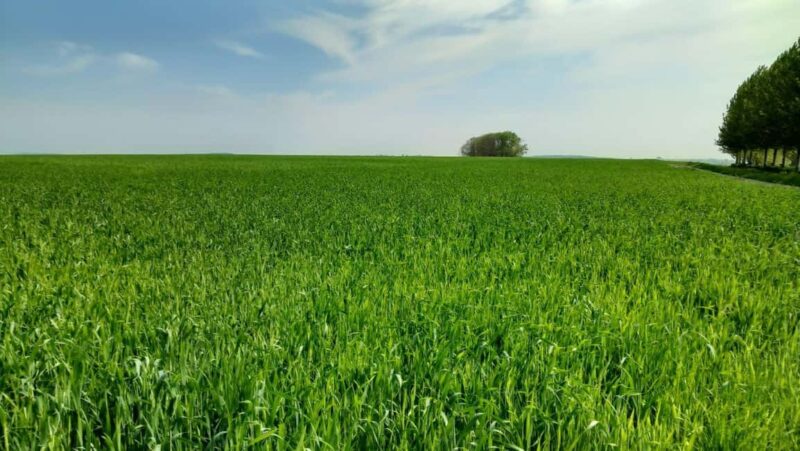 Saint-Quentin, Battle on the Hindenburg Line and the Canal - Key Points