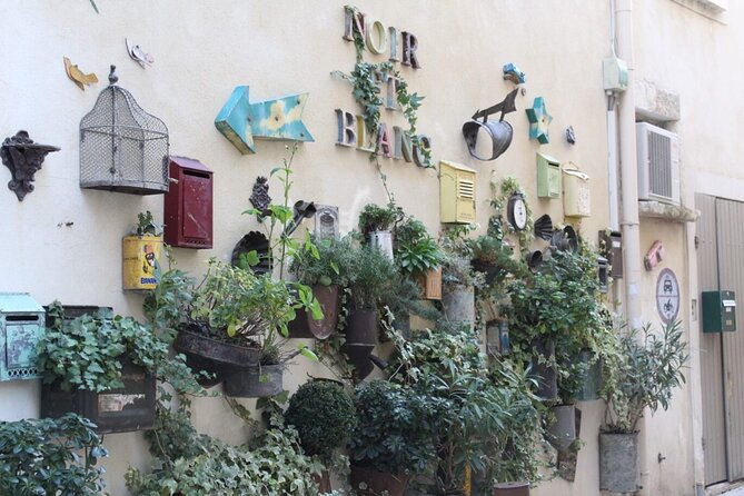 Saint Remy, Les Baux and Pont du Gard Small Group Day Trip - Pacing and Timing