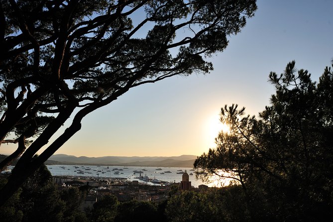 Saint-Tropez and Port Grimaud Day from Nice Small-Group Tour - The Review Insights: Small Group, Limited Time