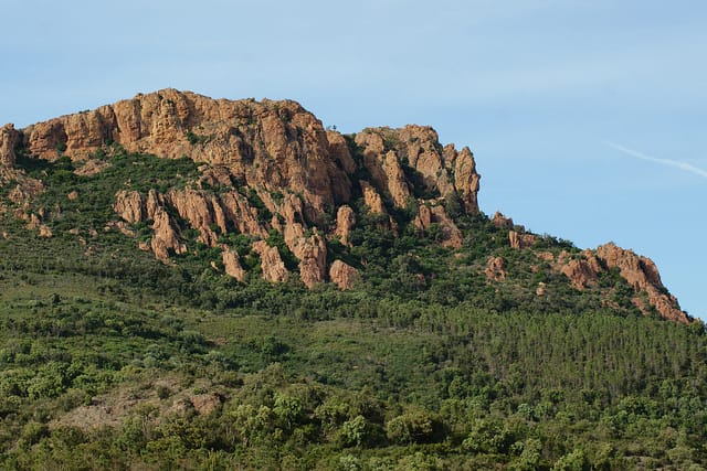 Saint Tropez and Port Grimaud: Full-Day Tour - Scenic Boat Cruise to Sainte-Maxime