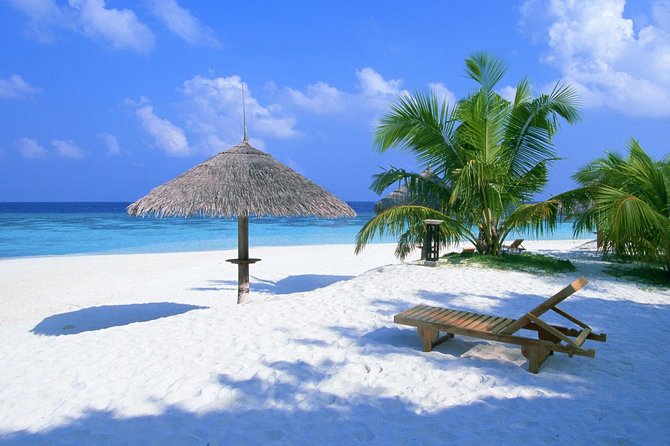 Saint-Tropez Full Day Private Tour - Key Points