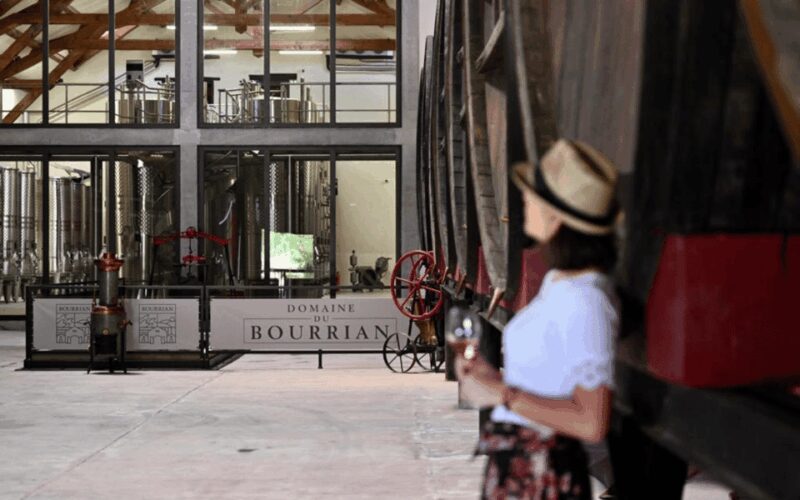 Saint-Tropez: Small Group Wine Tour - Tasting at the Wine Estates: Rosé, White, and Red Wines