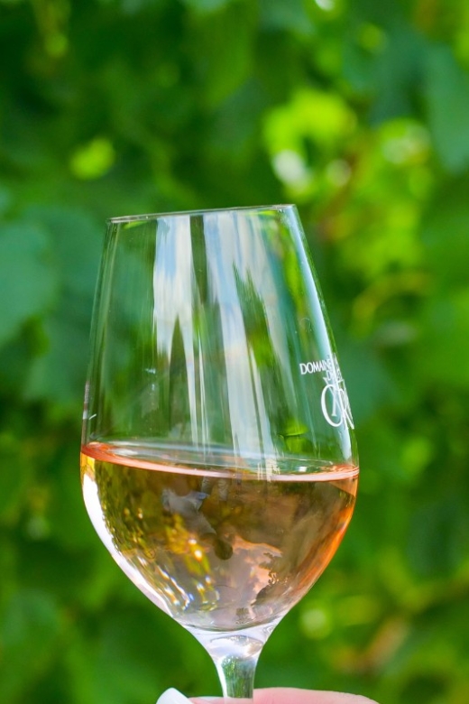 Saint-Tropez: Small Group Wine Tour - The Logistics and Group Experience