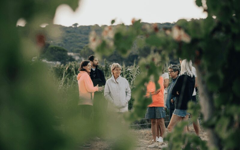 Saint-Tropez: Small Group Wine Tour - Who Should Consider This Wine Tour