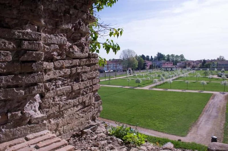 Sala Baganza: Wine Museum Ticket - The Artifacts that Tell Parma’s Wine Story