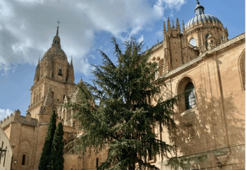 Salamanca Genial Tour privado - Key Points