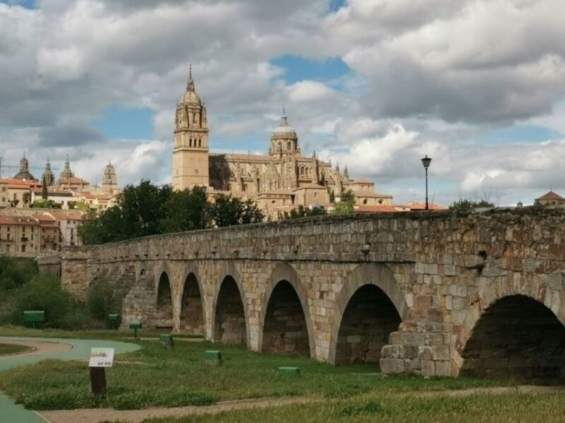 Salamanca: Guided Sightseeing Tour by Bicycle - Key Points