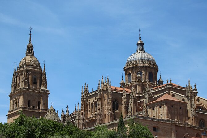 Salamanca Like a Local: Customized Private Tour - Limitations and Considerations