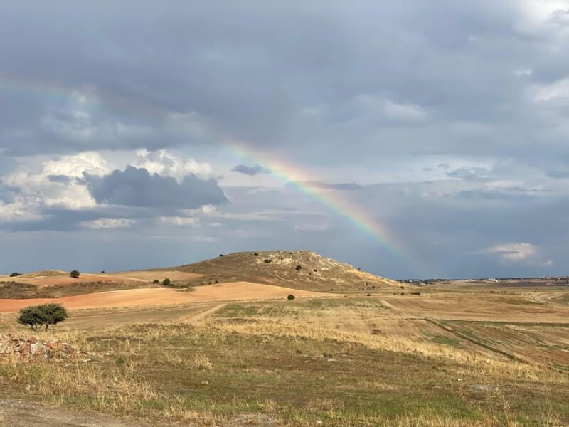 Salamanca: Private Battlefields of Salamanca Half-Day Trip - Exploring Arapil Grande and Its Significance