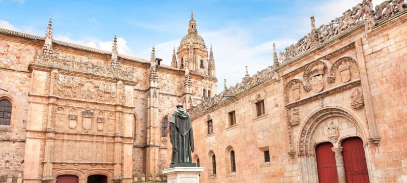 Salamanca: Private Guided Customizable Walking Tour - Why Choose This Tour?