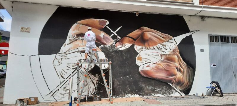 Salamanca: Private Guided Street Art Walking Tour - Explore Salamanca’s Hidden Street Art with a Private Guide