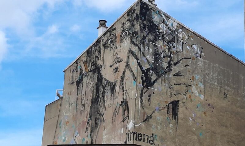 Salamanca: Private Guided Street Art Walking Tour - Discover the Colorful Murals of Barrio del Oeste