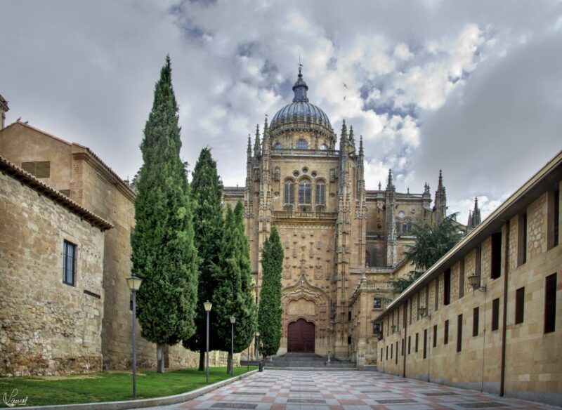 Salamanca: Private tour of the most important sites - Key Points