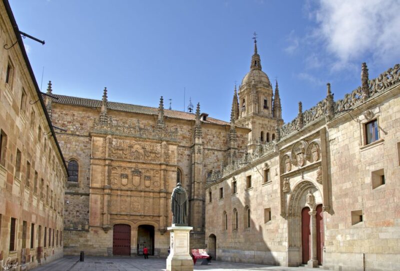 Salamanca: Private tour of the most important sites - Casa de las Conchas and Its Literary Significance
