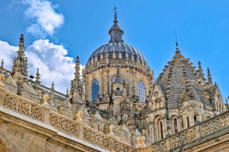 Salamanca: Private Walking Tour with a Local Guide - Navigating Salamanca through a Local’s Eyes