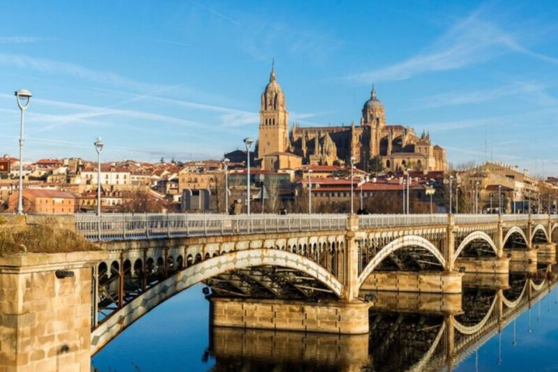 Salamanca: Private Walking Tour with a Local Guide - Discovering Salamanca’s Main Sights