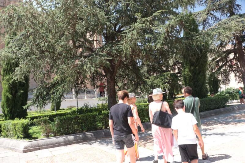 Salamanca: Private Walking Tour with a Local - Explore Salamanca with a Private Local Guide for $56