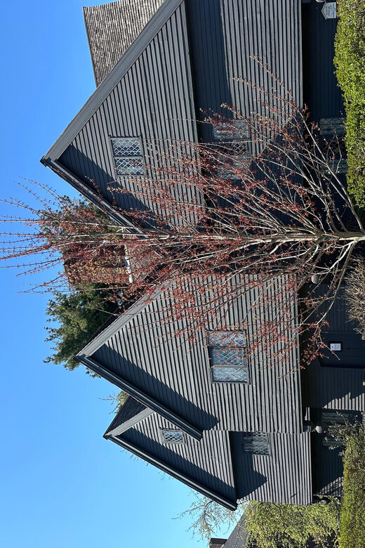 Salem, MA: Merchants & Mansions: an architecture tour - From Federal to Georgian: Architectural Transitions