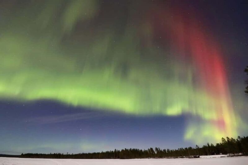 Sälen: Northern Lights Snowshoe Adventure with Pickup - Key Points