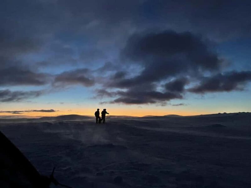 Sälen: Northern Lights Snowshoe Adventure with Pickup - Snowshoe Trekking in Sälen’s Winter Wilderness