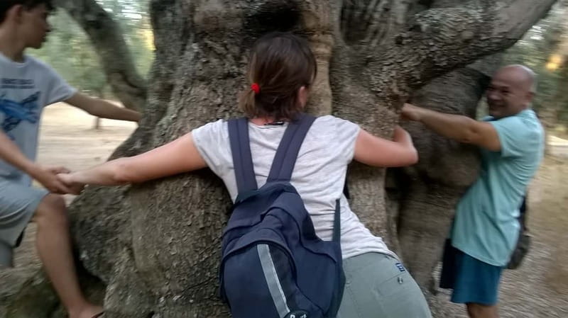 Salento: Olive Oil Mill Walking Tour with Tastings - Key Points