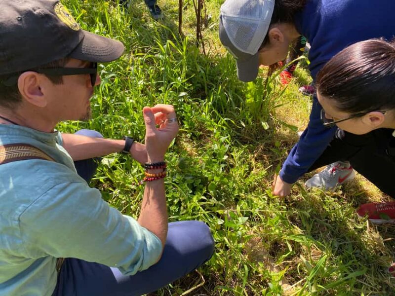 Salento: Wild Herbs to Drink - from plant to glass - Key Points