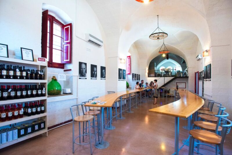 Salento: Winery Tour and Tasting - Exploring the Lush Vineyards of Salento