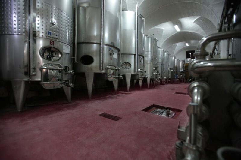 Salento: Winery Tour and Tasting - Practical Details and Accessibility