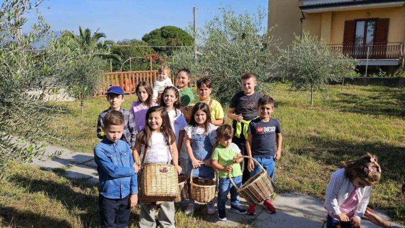 Salerno: Oleoteca Visit with Extra Virgin Olive Oil Tasting - Scenic Views of Mount Vesuvius and the Sarno Valley