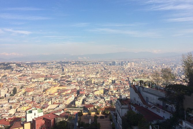 Salerno Shore Excursion: Private Naples Day Trip - Key Points