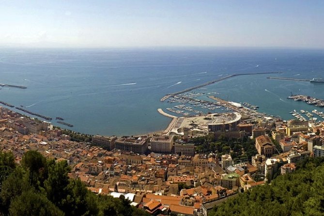 Salerno Shore Excursion: Private Pompeii Tour - Key Points