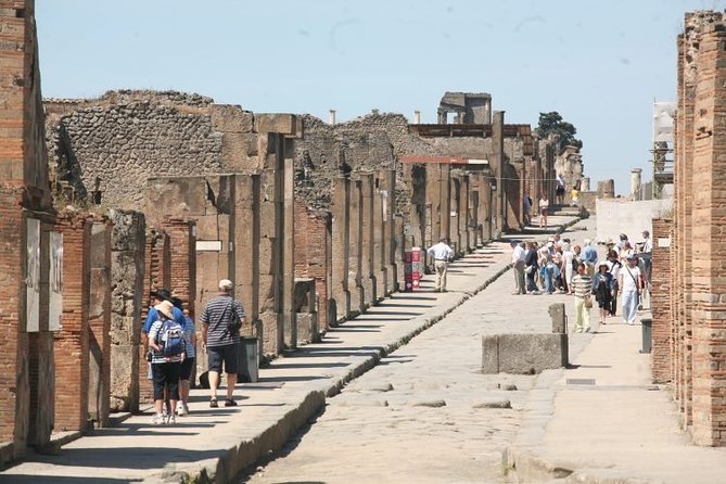 Salerno Shore Excursion: Private Pompeii Tour - The Practicalities of Booking and Cancellation