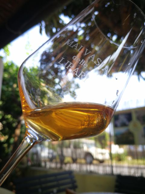 Salina Capers Experience - Visiting Capers Plants and Learning About Their Growth