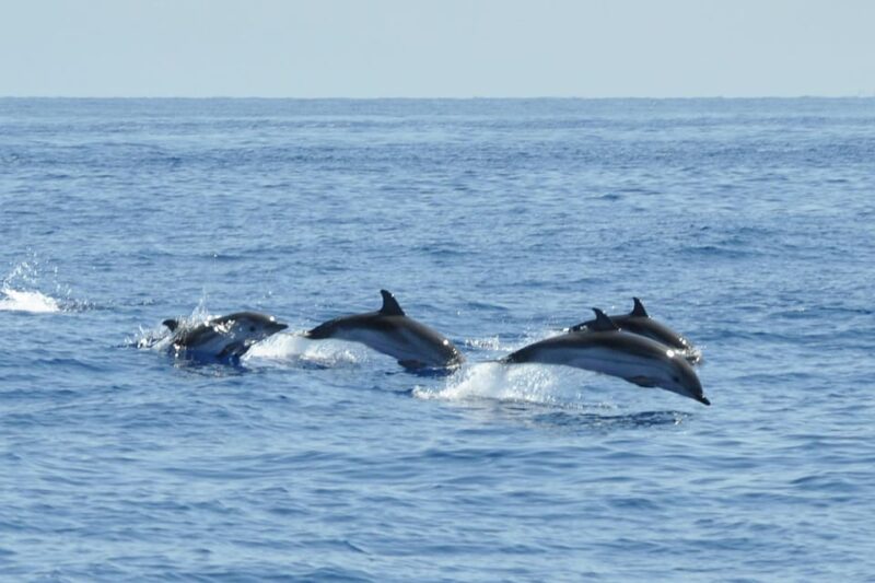 Salina Panarea Stromboli by night - Key Points
