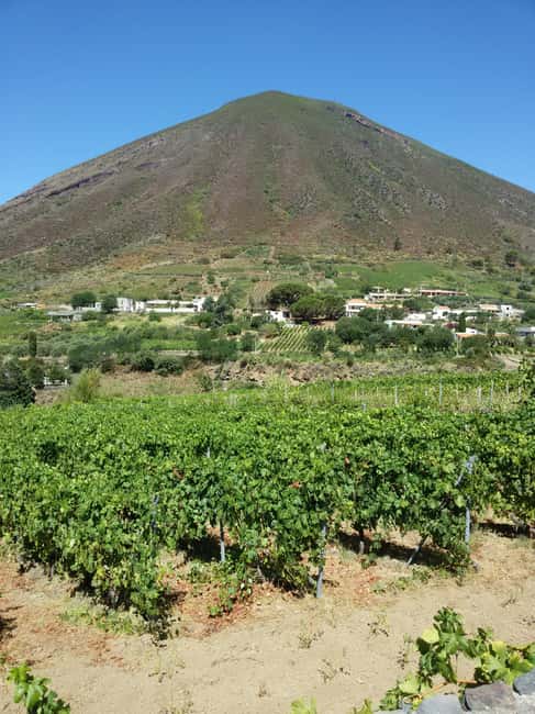 Salina: Private tour of the Aeolian Islands' greenest island - Breathtaking Views and Sea Perspectives