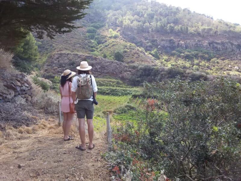 Salina: Private tour of the Aeolian Islands' greenest island - Who Will Enjoy This Tour Most