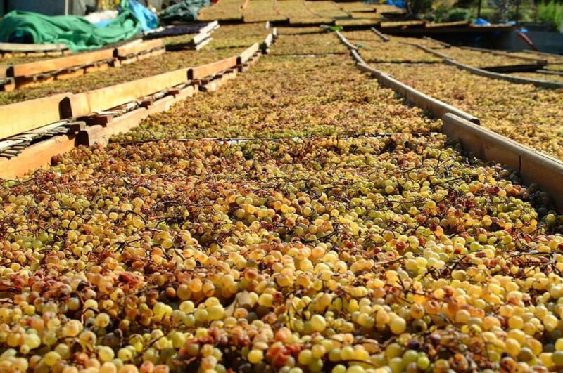 Salina: Wine Tasting & Brunch on Estate in Malfa - Key Points