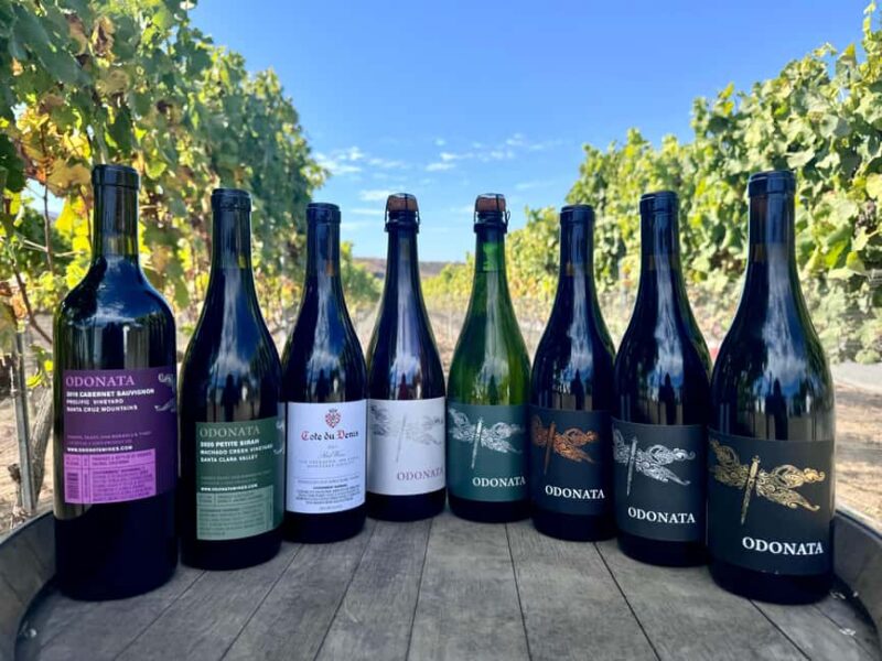 Salinas Valley, CA: Wine tasting experience - What Wines Are Featured During the Tasting?