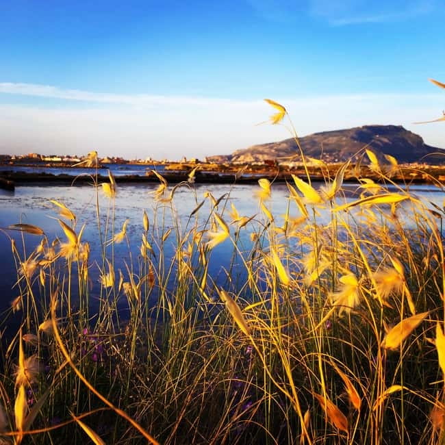 Saline di Trapani: 2h 30min Salt Tour - The Role of the Guide: Alessio’s Expertise and Passion