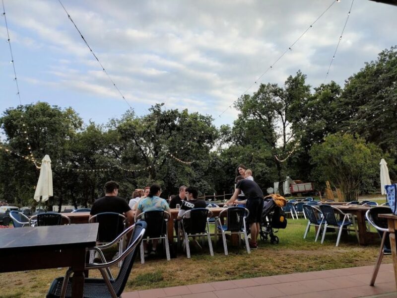 Salò: Tasting of 4 Valtenesi wines with local food - The Views of Lake Garda and Gulf of Salò