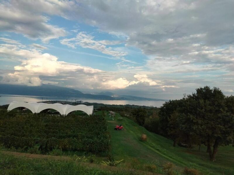 Salò: Tasting of 4 Valtenesi wines with local food - Booking Flexibility and Cancellation Policy