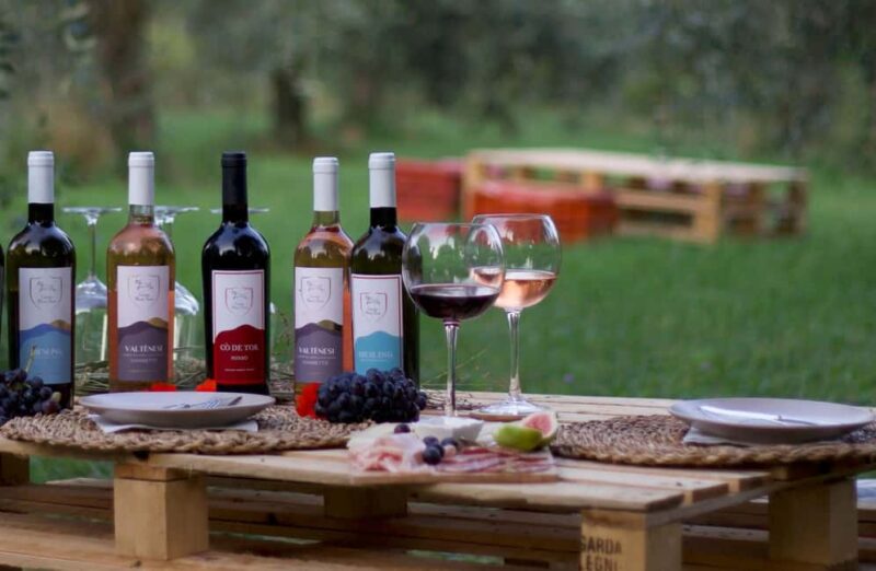 Salò: Winery Tour with Wine and Food Tasting near Lake Garda - Guided Tour of the Vineyard and Winery