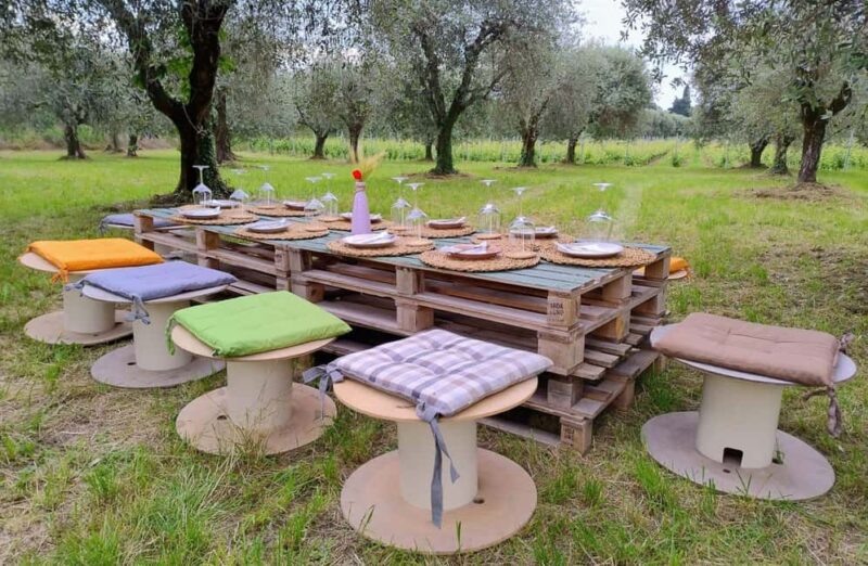 Salò: Winery Tour with Wine and Food Tasting near Lake Garda - Wine Tasting in an Olive Grove (Weather Permitting)