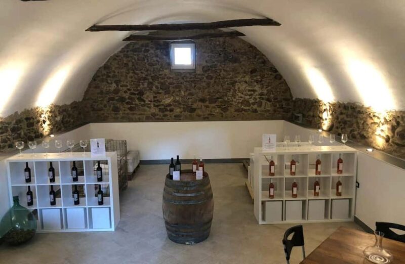 Salò: Winery Tour with Wine and Food Tasting near Lake Garda - The Scenic Views and Setting of the Vineyard