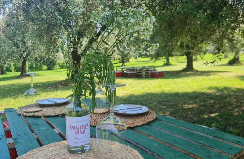 Salò: Winery Tour with Wine and Food Tasting near Lake Garda - The Value of the Salò Winery Experience