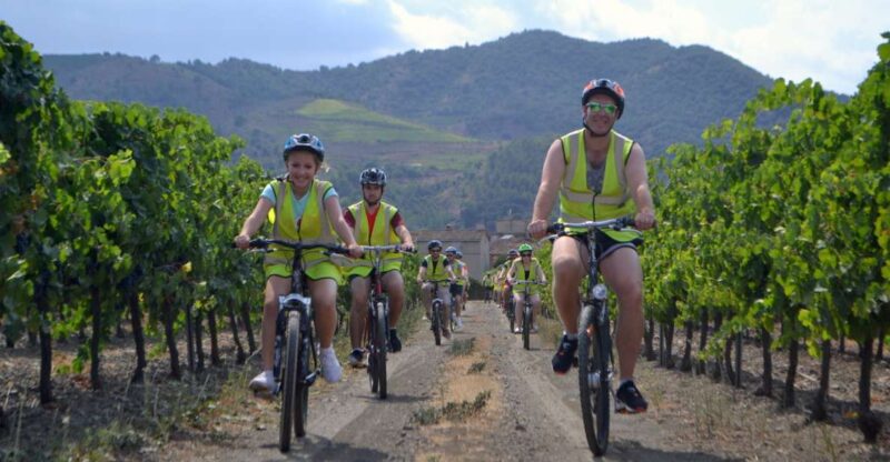 Salou: Bike Tour with Wine Tasting - Expert Guides and Personalised Experience