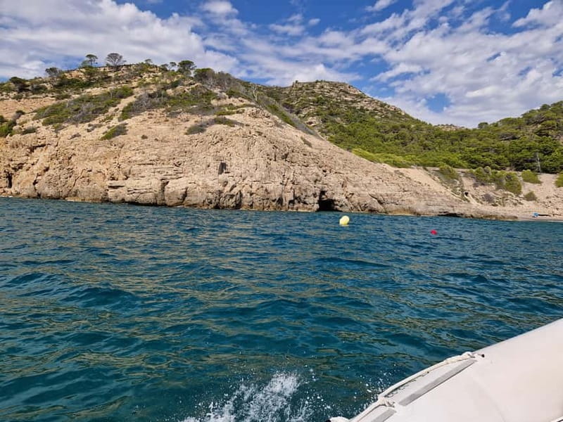 Salou: Boat ride and visit to the sea wolf cave. - Salous Unique Sea Adventure: Boat Ride & Sea Lion Cave Visit