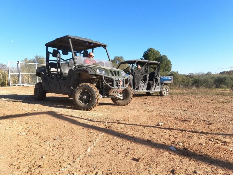 Salou: Kid's Buggy Driving Experience in Safe Environment - What Kids Can Expect During the Buggy Experience